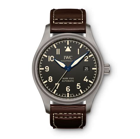 iwc orologi opinioni|iwc titanium watch.